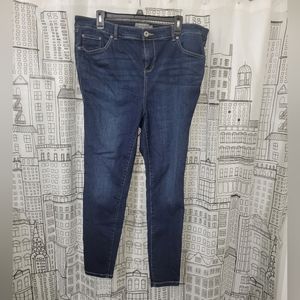 Torrid Jeans